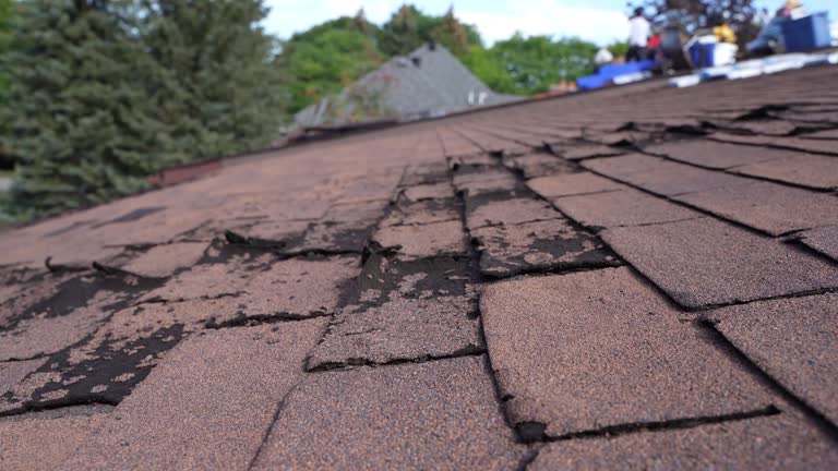 Best Flat Roofing  in Staten Island, NY